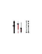 Generic Poles and Staffs